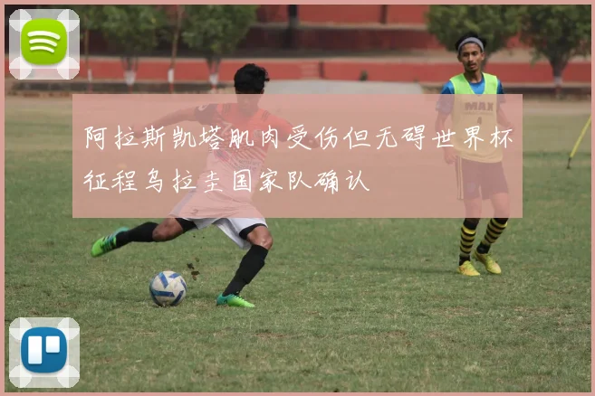 阿拉斯凯塔肌肉受伤但无碍世界杯征程乌拉圭国家队确认