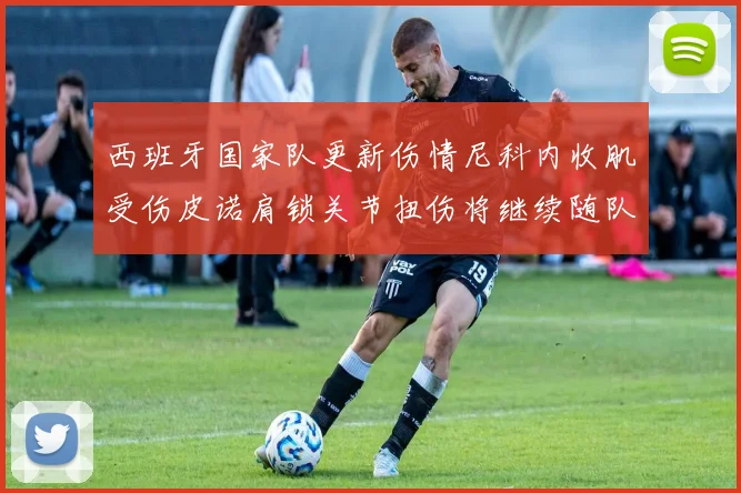 西班牙国家队更新伤情尼科内收肌受伤皮诺肩锁关节扭伤将继续随队训练